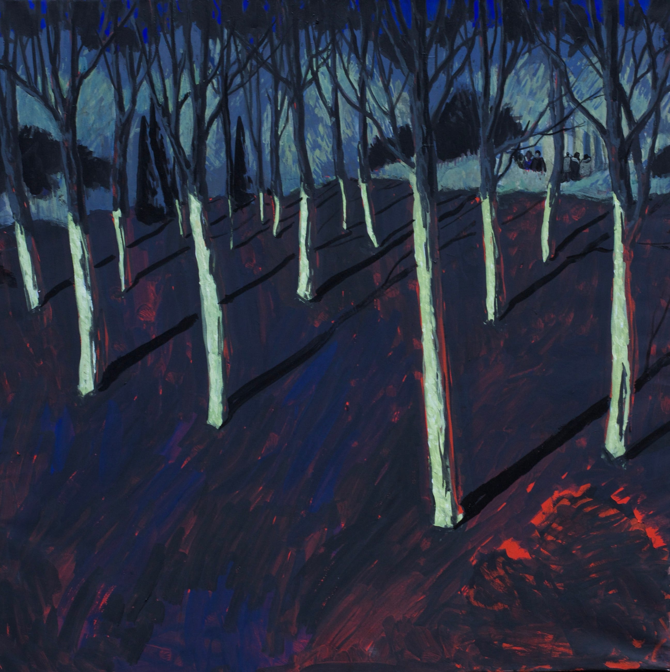 A park in Sochi at night: pale tree trunks against a violet-blue ground, long shadows stretching across the earth